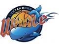 Sichuan Whale U21