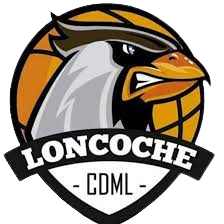Municipal Loncoche SAESA